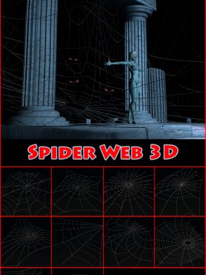 Spider Web 3D-蜘蛛网3d