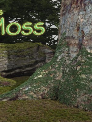 Wabe’s Moss-Wabe的苔藓