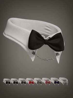 XF Bunny Lace Lingerie Collar for Genesis 8 and 8.1 Males-创世纪8和81男性的兔子蕾丝内衣衣领