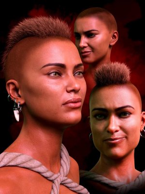 M3DVTO Crest Hair and Earrings for Genesis 8 and 8.1 Females-创世纪8和81女性的3纹章头发和耳环
