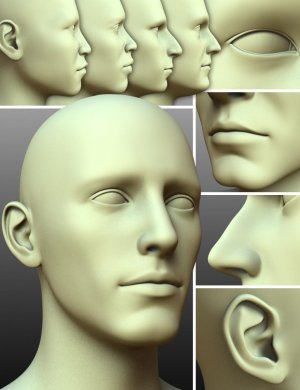 200 Plus – Head & Face Morphs for Genesis 3 Male(s)-200创世纪3男性的头部和面部变形