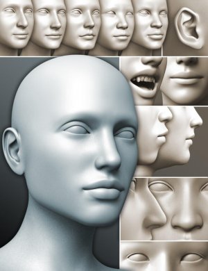 200 Plus – Head & Face Morphs for Genesis 3 Female(s)-200创世纪3女性的头部和面部变形