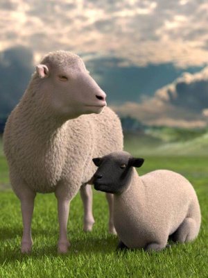 DAZ Sheep 2-达兹羊2