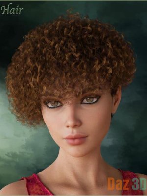 Prae-Evy Hair for G8 Daz-八国集团的发型