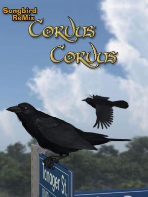 Songbird ReMix Corvus corvus-鸣禽混音乌鸦