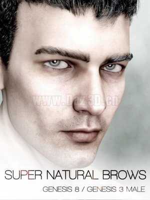 Super Natural Brows Merchant Resource for Genesis 8 and 3 Male-创世纪8和3男性的超级自然眉毛商人资源