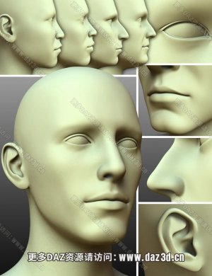 200 Plus Head Face Morphsfor Genesis3 Females-G3脸部捏脸控制插件-包含男女