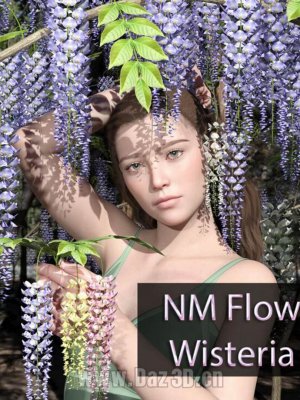 NM Flower Wisteria-花紫藤