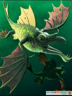 DragonFish-龙鱼