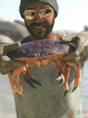 Dungeness Crab HD-邓杰内斯克拉布角