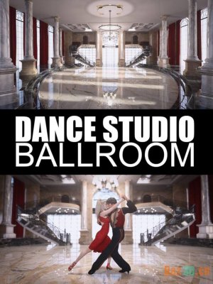 Dance Studio Ballroom-舞蹈工作室舞厅