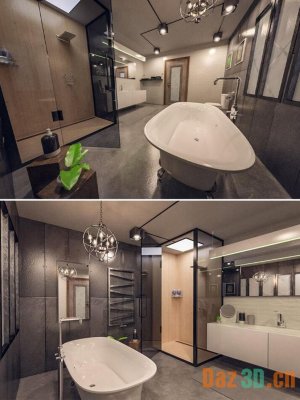 Industrial Bathroom-工业浴室