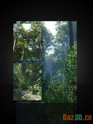 Tropical Botanica – Bundle-热带植物丛
