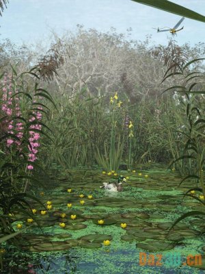 Wetlands Low Res Plants for Vol 2 – Flowering Plants-湿地低分辨率植物第2卷开花植物