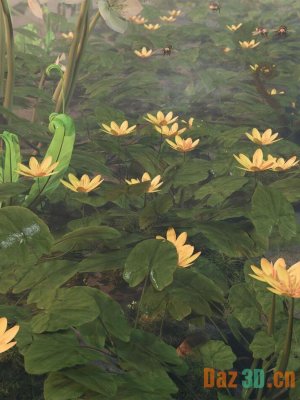 Wildflowers Buttercups and Celandine-野花毛茛和白屈菜
