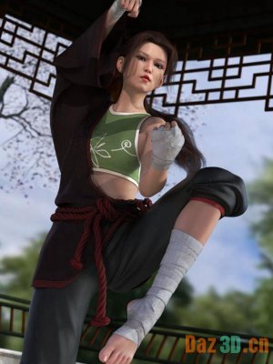 dForce KungFu Fury Outfit for Genesis 8 and 8.1 Females-创世记8和81女性的功夫狂暴装备
