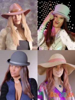 Brimmed Hats for Beanie Hair for Genesis 8 and 8.1 Females-《创世纪》第8章和第81章女性的无檐帽