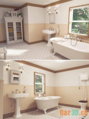 Vintage Bathroom-老式浴室