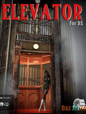 Elevator For DS-的电梯