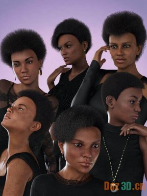 dForce Afro Styles Hair for Genesis 8 Female(s)-为创世纪8女性设计非洲式发型