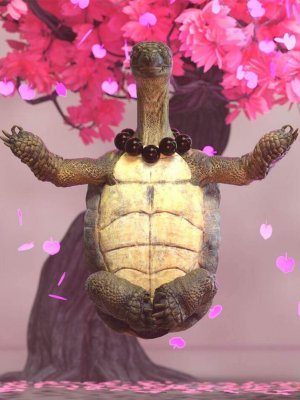 Master Turtle Hierarchical Poses for Storybook Turtle-海龟大师为故事书中的海龟摆出层次分明的姿势
