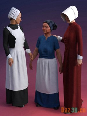 dForce Servant Dress for Genesis 8 Female(s)-创世记第8章女性的仆人礼服