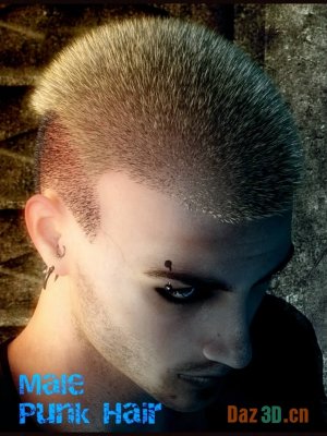 Male Punk Hair or Genesis 2 Male(s)-男性朋克头发或创世纪2男性