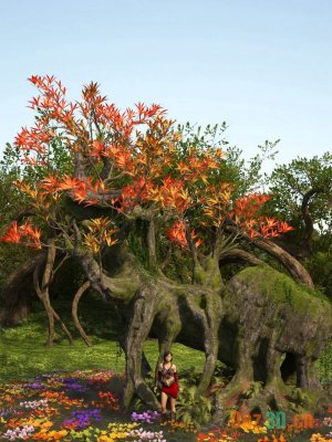 Showy Trees and Plants Pack-艳丽的树木和植物