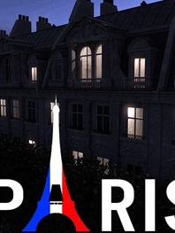 PARIS – Pilot for DS Iray-巴黎的试点