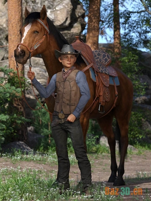Western Horse Tack for Daz Horse 3-西部马钉为马3