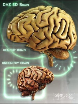 DAZ Brain-达兹大脑