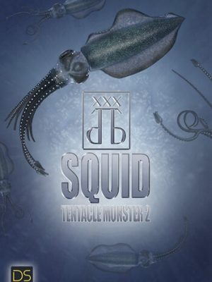 Squid-乌贼
