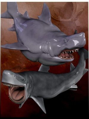 Toonimal Sharks-卡通鲨