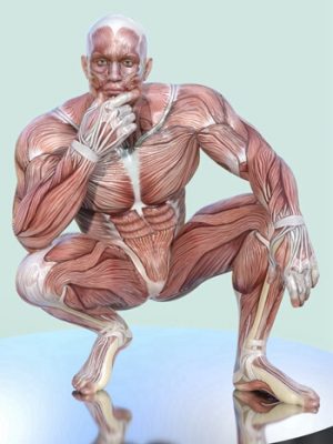 Masculine Muscle Maps for Genesis 9-创世纪9的男性肌肉图