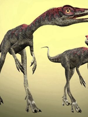 CompsognathusDR-