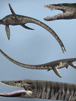 ElasmosaurusDR-StyxosaurusDR-依拉丝莫龙冥河龙