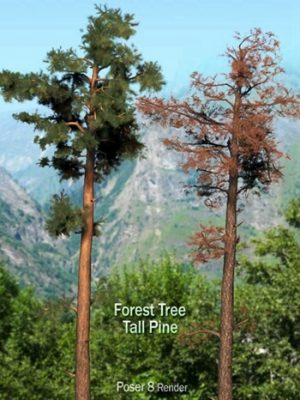 Forest Tree – Tall Pine-森林树木高松