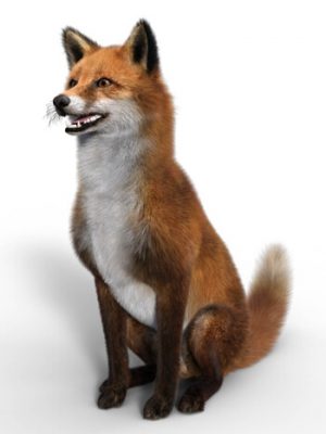 Fox for Dog Nubis-狐狸换狗努比斯