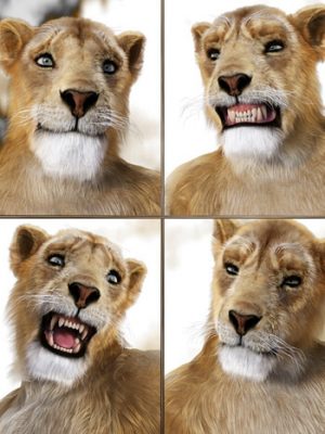 JW Expressions for Niketa the Lioness-母狮妮克塔的表达式