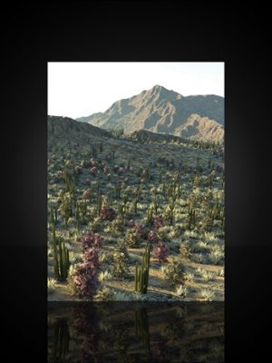 UltraSceneryXT – Desert-超场景沙漠