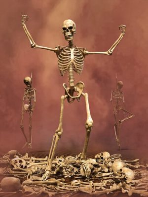 Midnight Bones for Genesis 9-《创世纪9》的午夜骨头