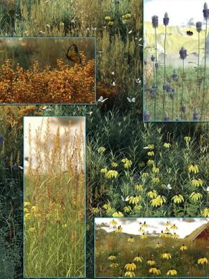 Prairie Grass and Flower Plant Collection-草原草和花卉植物收藏