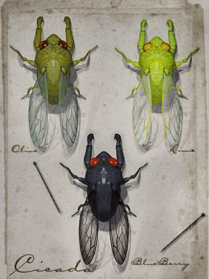 Cicada-西卡达