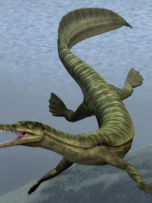 MesosaurusDR-中龙