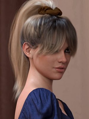 4-in-1 Buns and Ponytail Hair Textures-四合一的兔子和马尾辫毛纹理