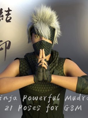 Ninja Powerful Mudras 21 Poses for Genesis 8 Male-忍者强大的21为创世纪8男性
