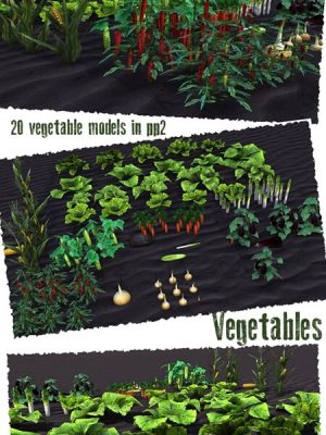 Vegetable Plants-植物植物