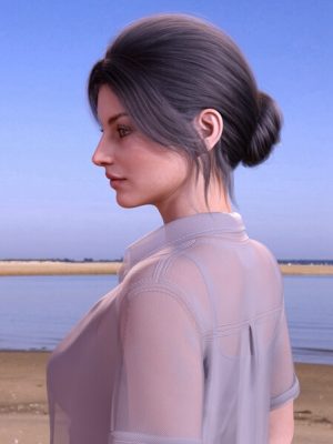 BS Updo Hair for Genesis 9, 8.1, and 8 Female-为创世纪9、81和8女性