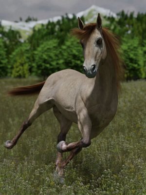 DS Horse for Daz Horse 3-马为马3