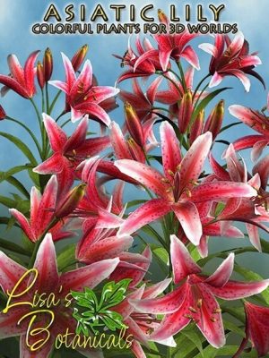 Lisas Botanicals – Asiatic Lily-亚洲百合植物学报